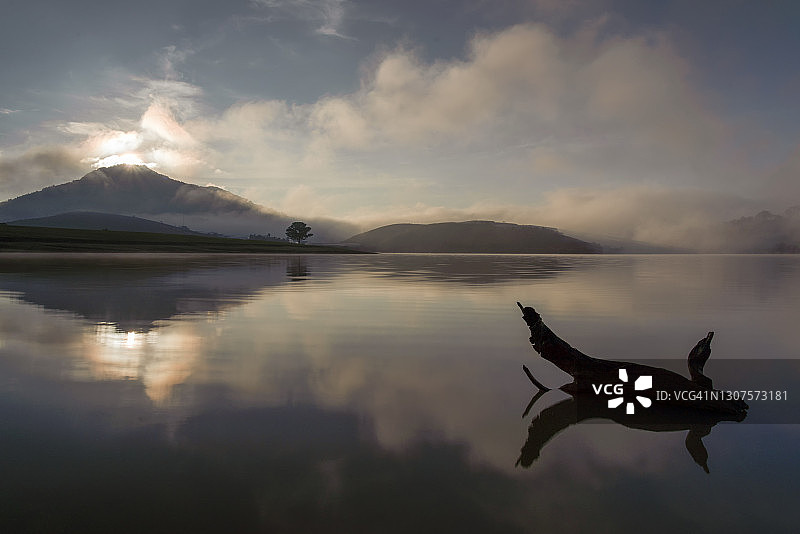 孤寂：湖中小岛上松树倒影与戏剧性天空图片素材