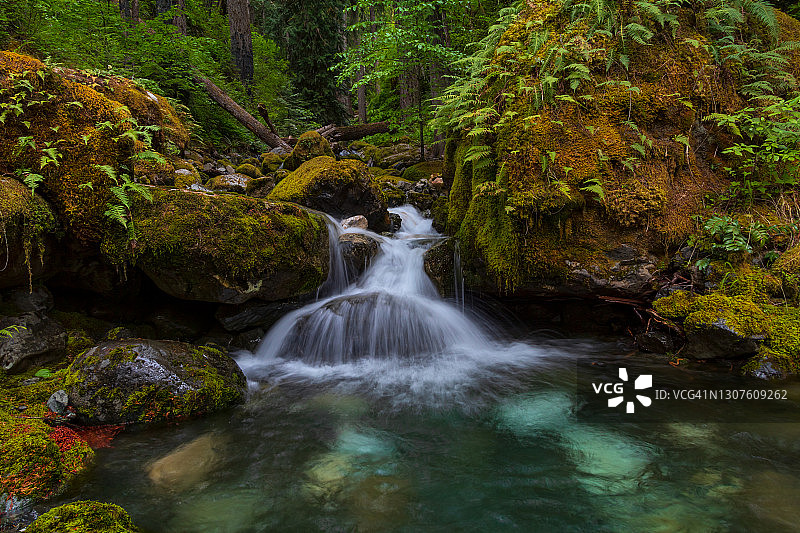 斯特拉斯科纳省立公园图片素材