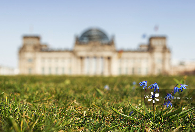 柏林德国国会大厦春季鲜花图片素材