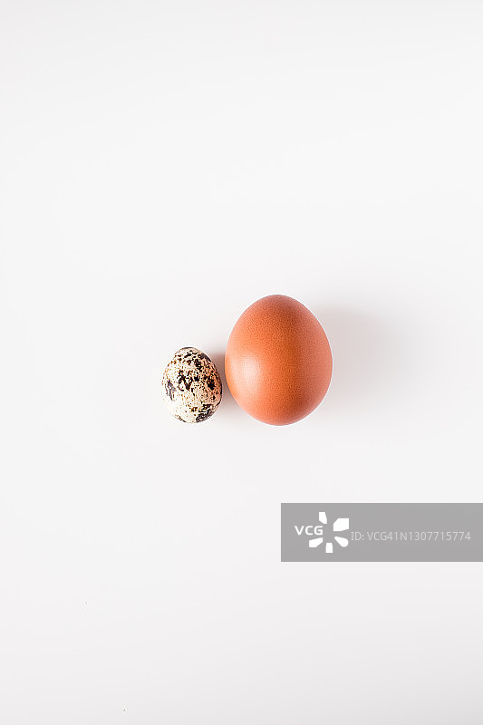 大小不同的鸡蛋：鹌鹑蛋和鸡蛋图片素材