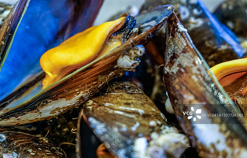 煮熟的贻贝特写镜头图片素材