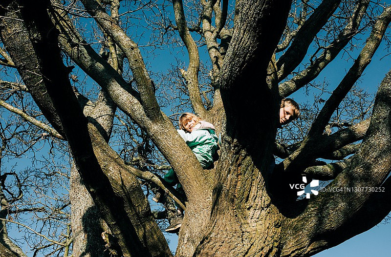 孩子们在英国阳光下一起爬大树图片素材