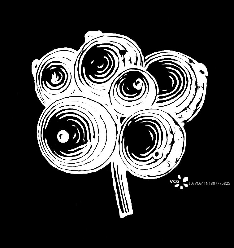 矮生玉米或小簇浆果（Cornus suecica）古老雕刻插图图片素材