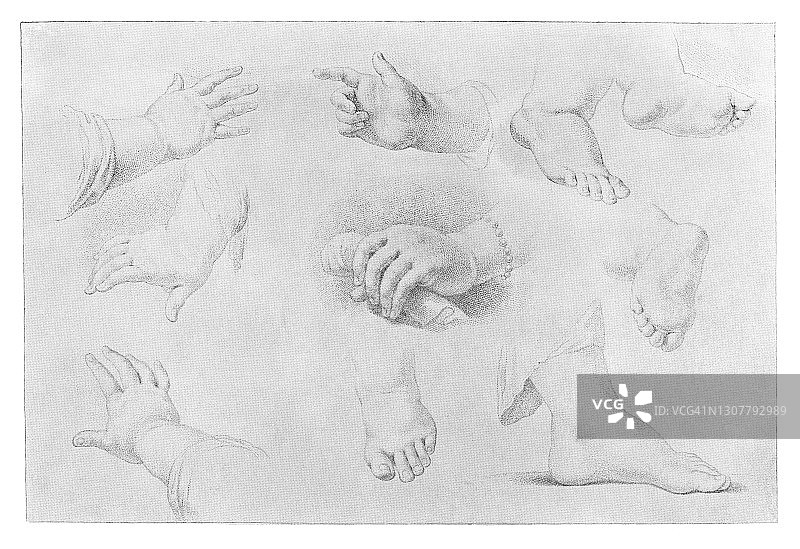 素描脚、脚趾和手——学习绘画的古老版画图片素材