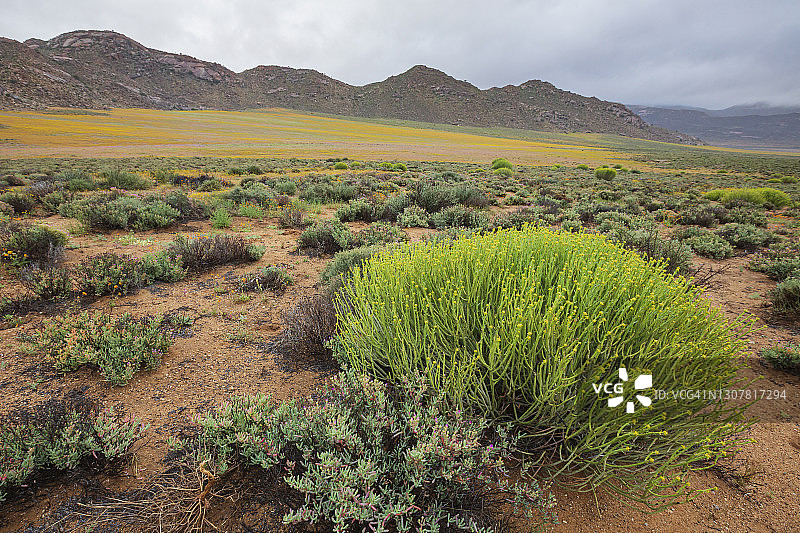 戈埃加普自然保护区阴天景象图片素材