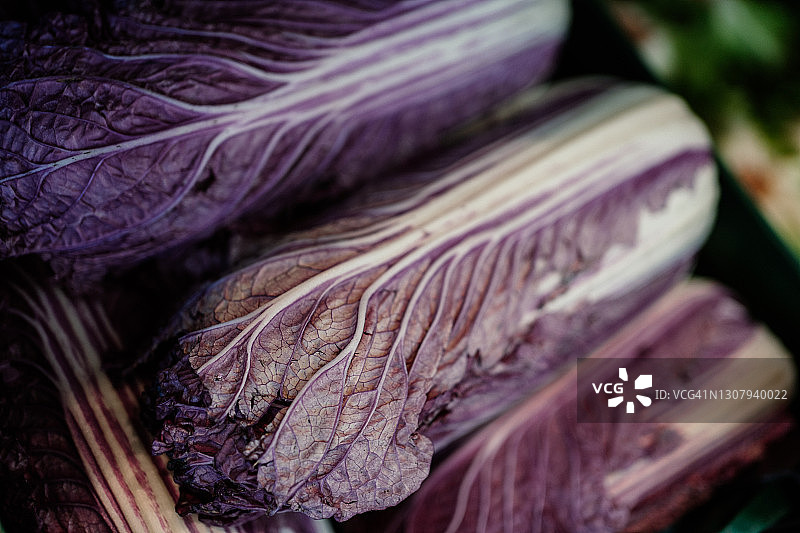 大白菜特写图片素材