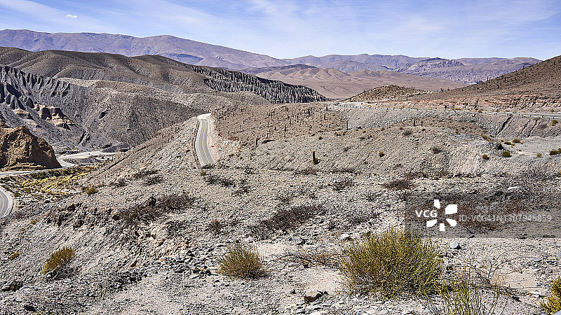 银柱掌：阿根廷萨尔塔省卡多内斯国家公园图片素材