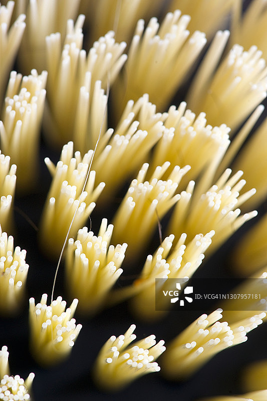 厨房刷图片素材