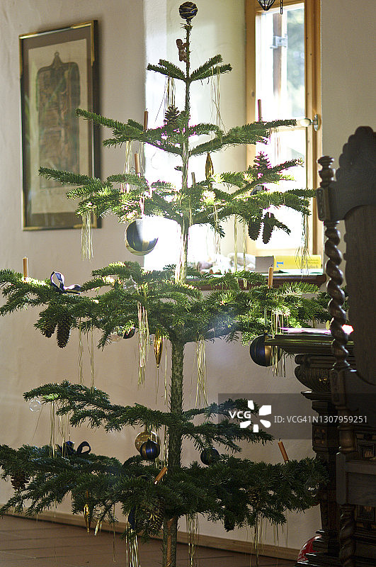 圣诞树图片素材