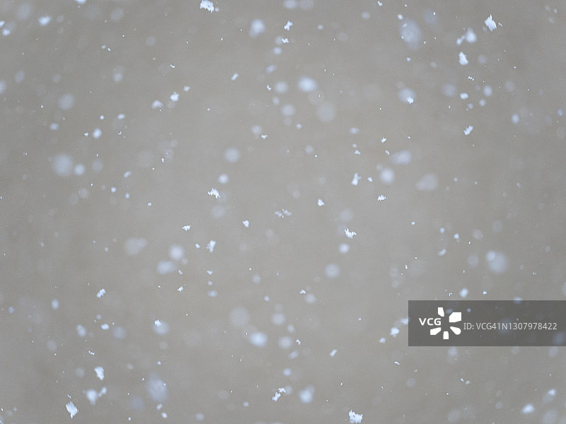 灰色天空雪花暴风雪全景图片素材