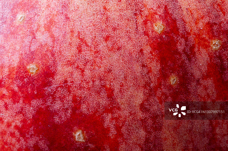 红色苹果特写图片素材