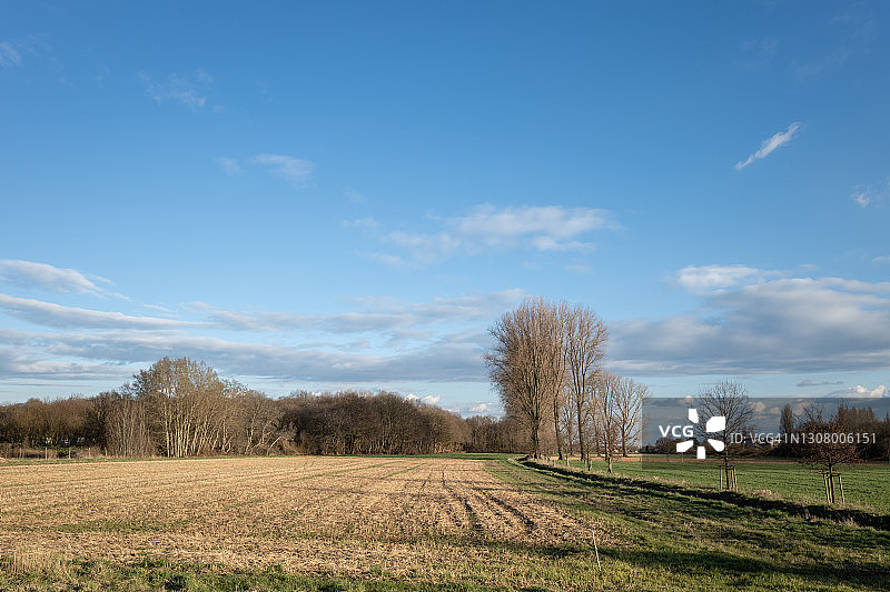 犁耕后空旷农田的室外晴朗景观，蓝天下树木背景图片素材