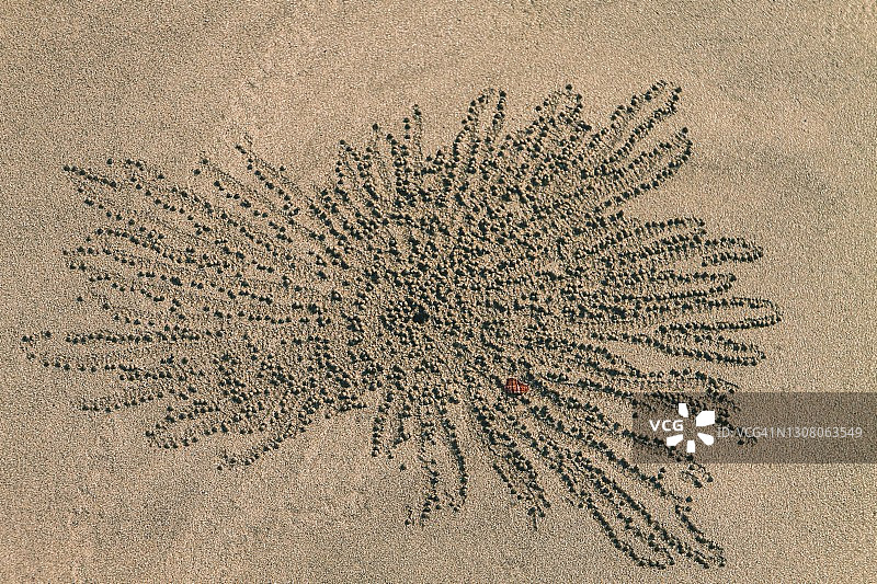 沙滩图案图片素材