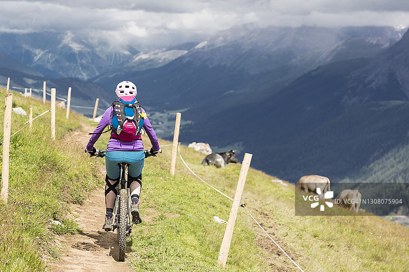 在瑞士格劳宾登州牧场上的山地自行车运动图片素材