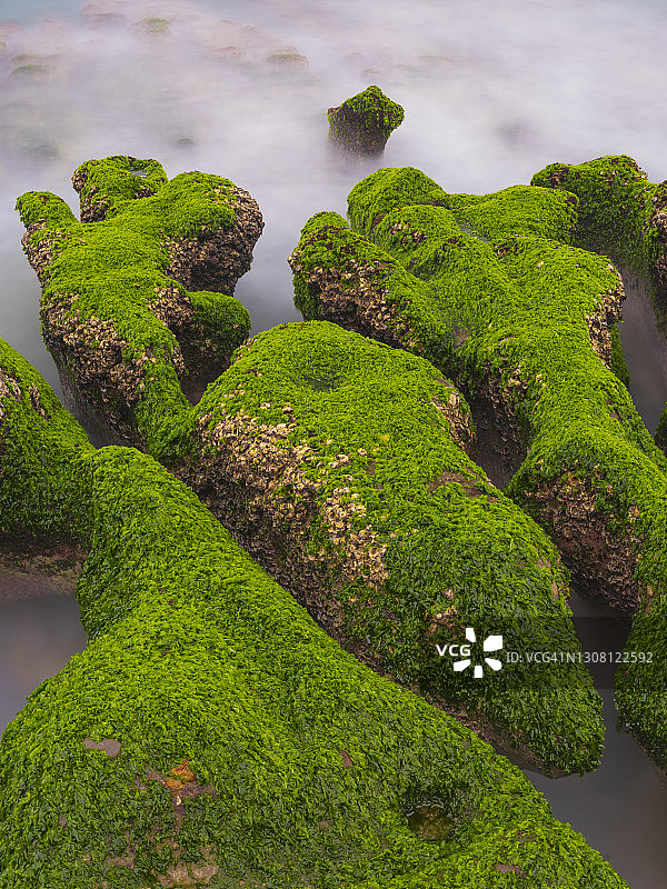 中国台湾新北市石门区老梅绿石槽。在东北季风的影响下，海浪拍打着礁石表面，海莴苣和“绿发”等绿色藻类缓慢生长，形成了老梅绿石槽的季节性景观图片素材