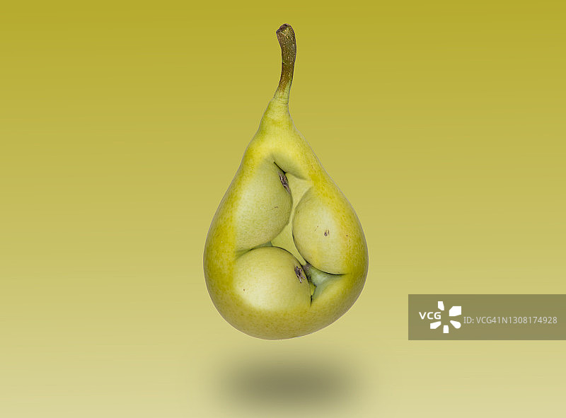 怀孕的梨，幽默水果图片素材