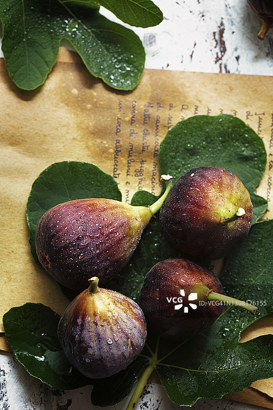 无花果叶上的无花果图片素材