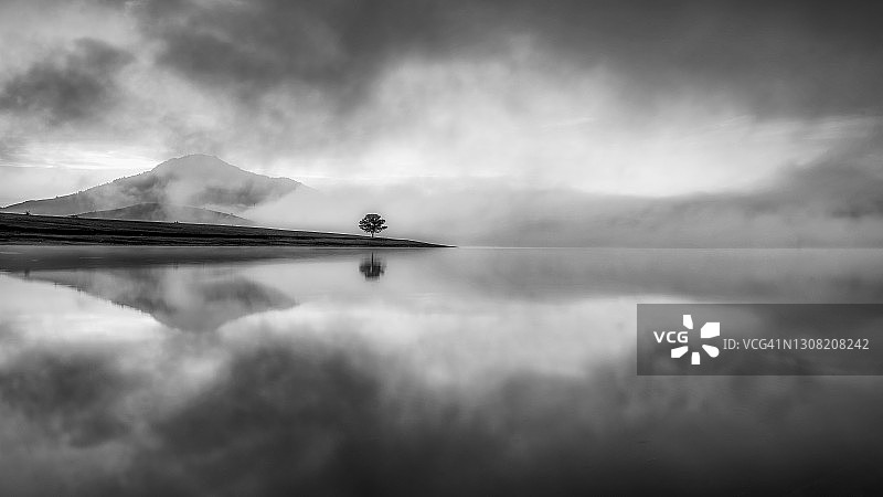 孤寂：湖中小岛上松树倒影与戏剧性天空图片素材