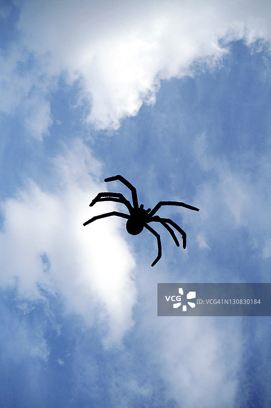 鬼屋列车前的黑蜘蛛图片素材