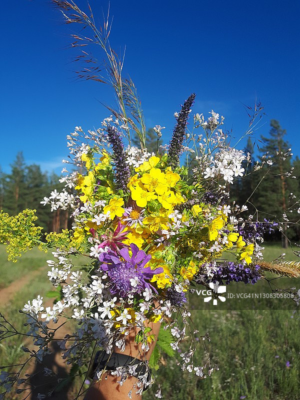 夏季野花花束：明亮的花瓣和绿叶图片素材