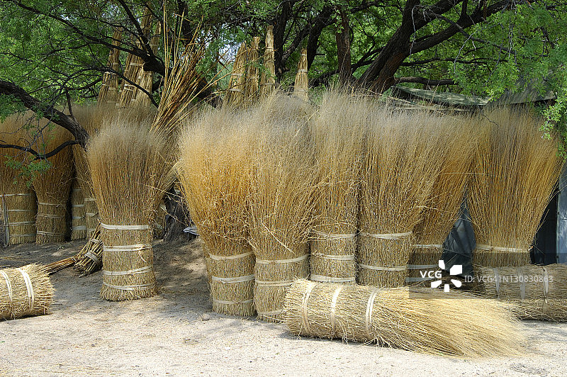 市场上出售的用于茅草屋顶的芦苇束，博茨瓦纳奥卡万戈三角洲图片素材