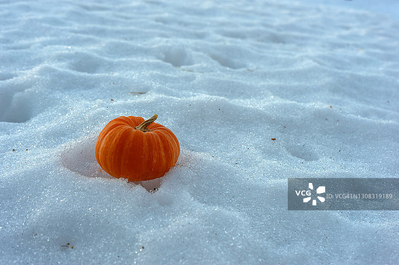 雪中的葫芦图片素材