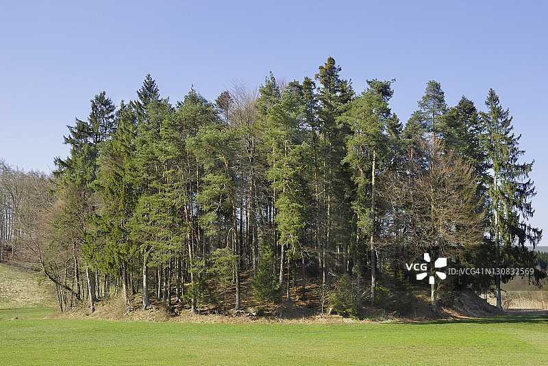 冰碛丘，冰川地形，上面长满了松树和挪威云杉，西翁湖泊自然保护区，北部基姆高，巴伐利亚，德国，欧洲图片素材