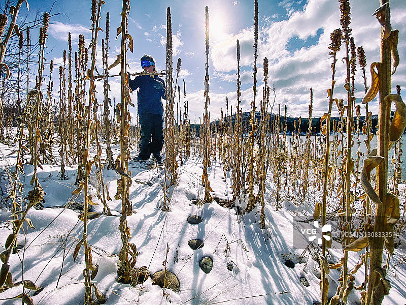 在雪地湖边嬉戏玩耍图片素材