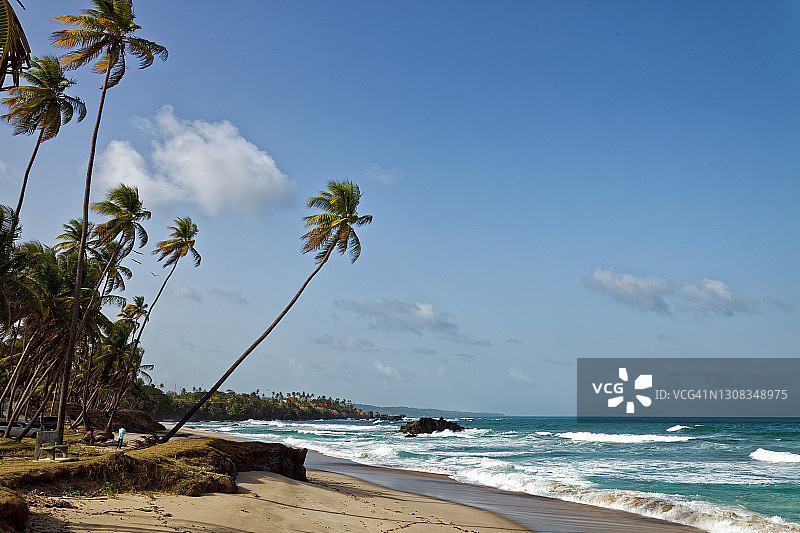 特立尼达东北海岸图片素材