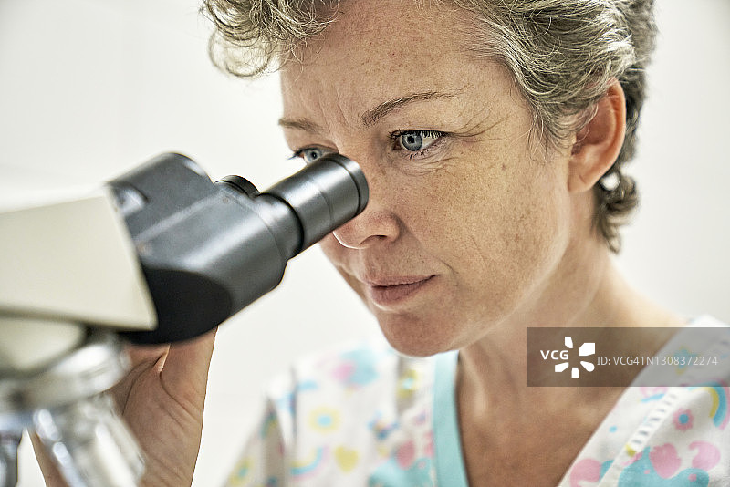 使用显微镜的女兽医的正面照图片素材