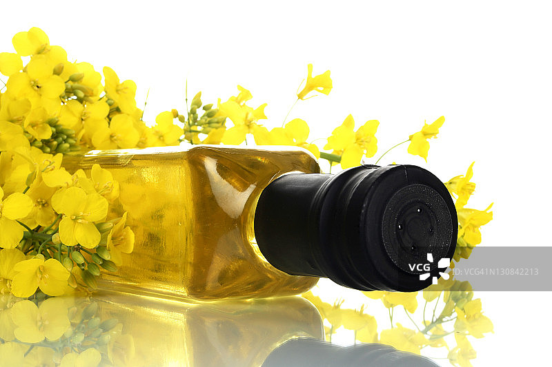 油菜籽油图片素材