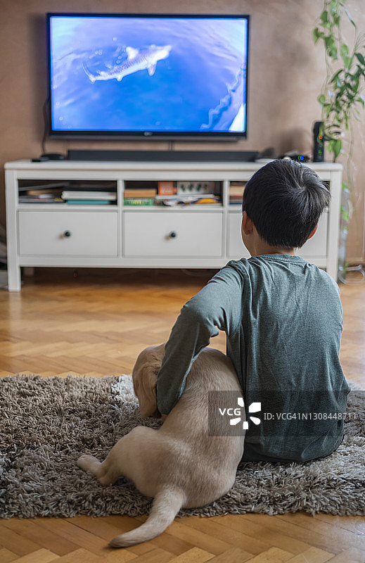 可爱的男孩和小狗一起看电视图片素材