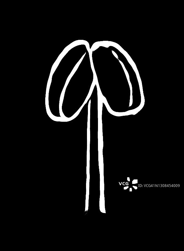 红醋栗旧版画插图图片素材