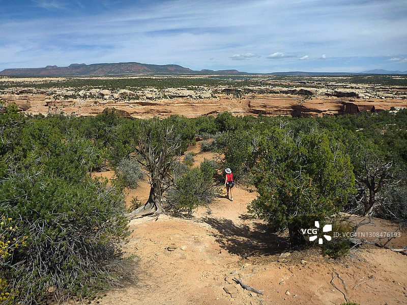 女子徒步穿越犹他州熊耳国家纪念碑图片素材