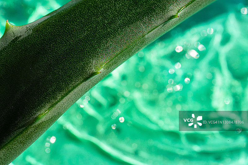 芦荟叶和植物凝胶涂抹质地图片素材