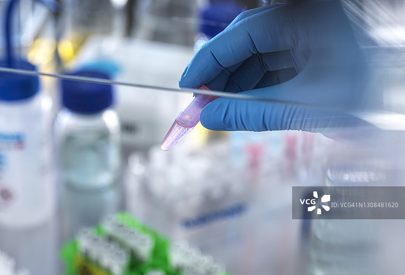 科学家拿着含有化学式的药瓶，准备在实验室进行分析图片素材