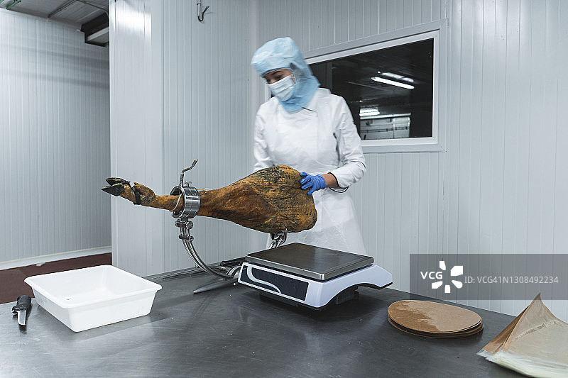 女人在工厂用秤测量火腿腿的重量图片素材