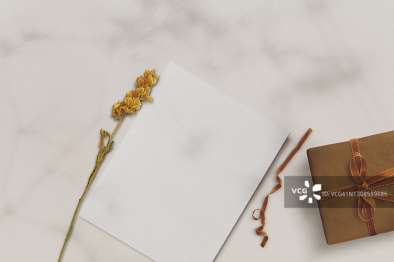 花丛阳光下的空白纸卡样机图片素材