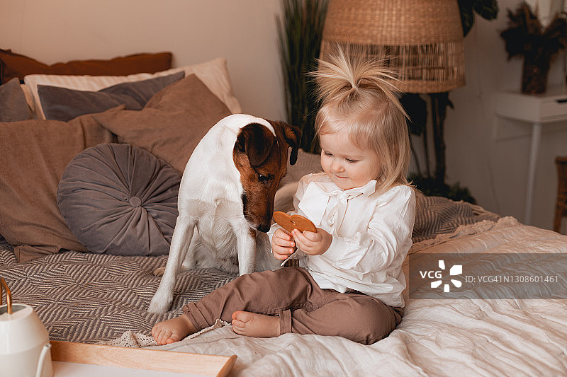 女婴喂小狗饼干图片素材