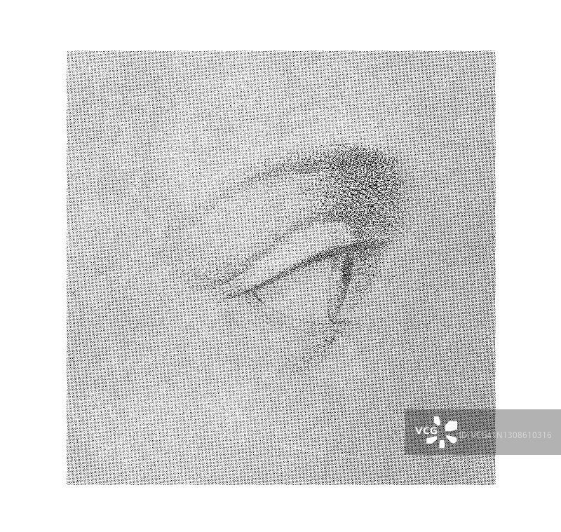 人眼素描绘画学习古老版画图片素材