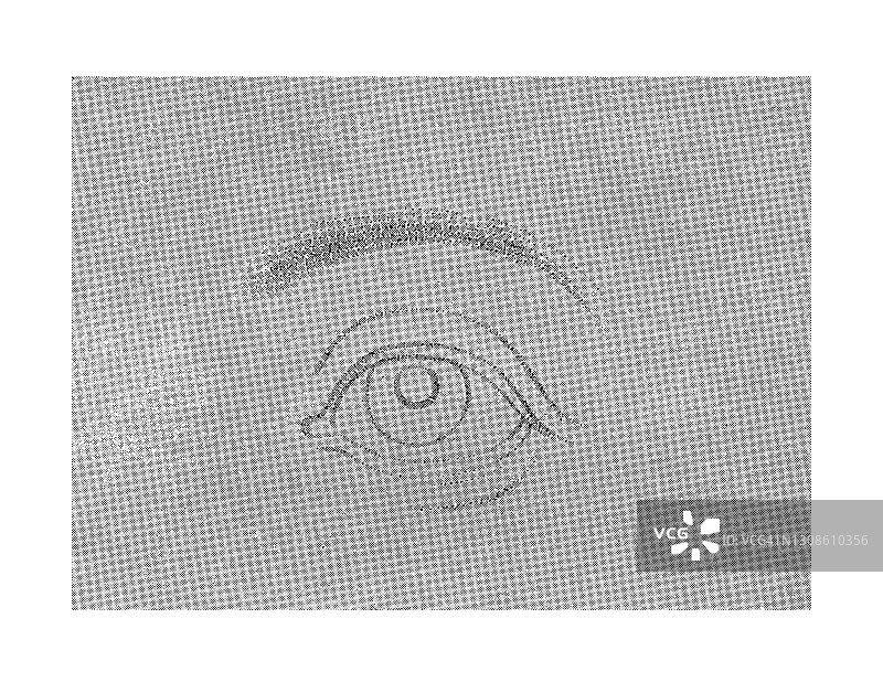 人眼素描绘画学习古老版画图片素材