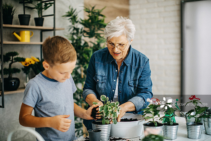孙子帮奶奶种地图片素材