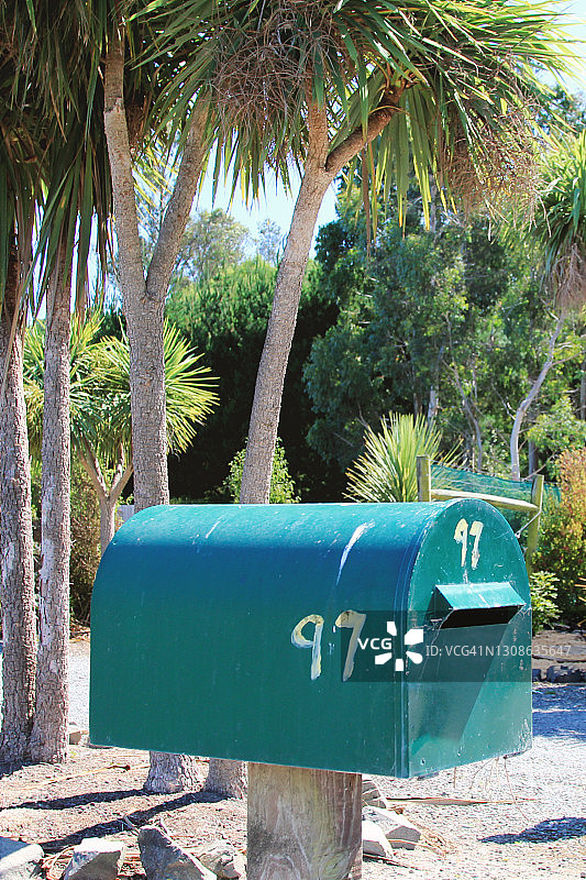 棕榈树背景上的绿色复古金属邮箱图片素材