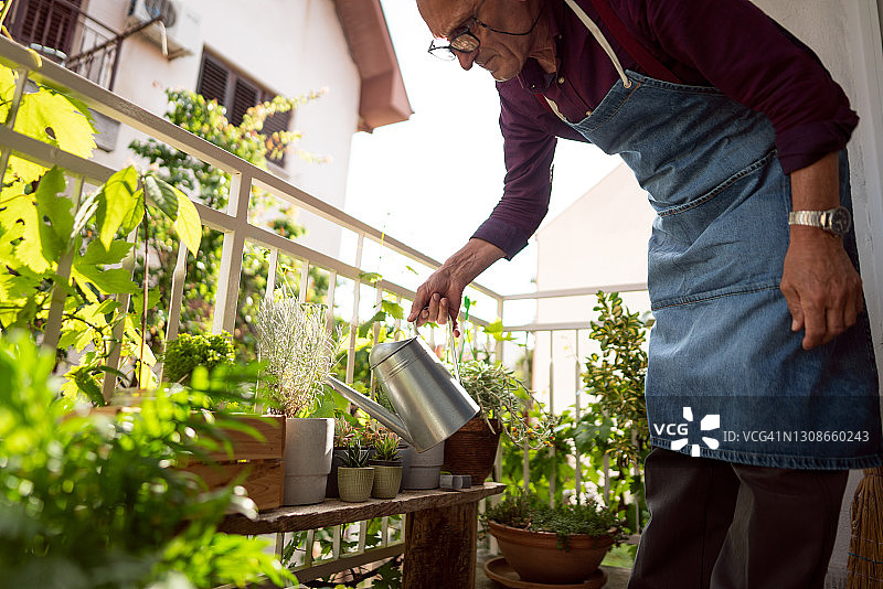 年长的男人在家里的阳台上给盆栽浇水图片素材