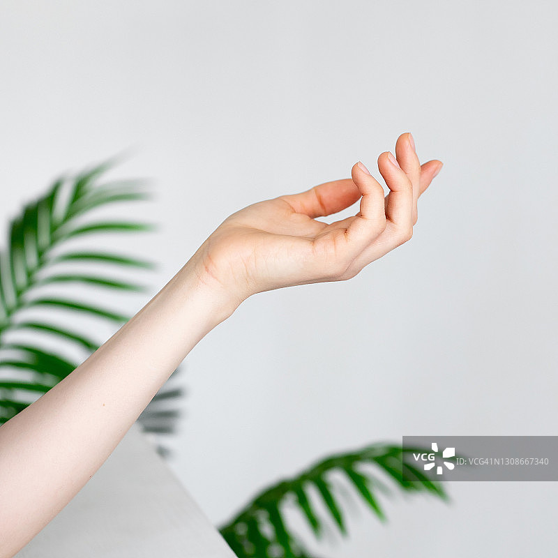 女性的手图片素材