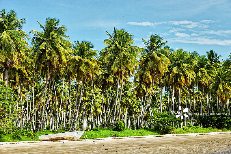 哥伦布湾图片素材