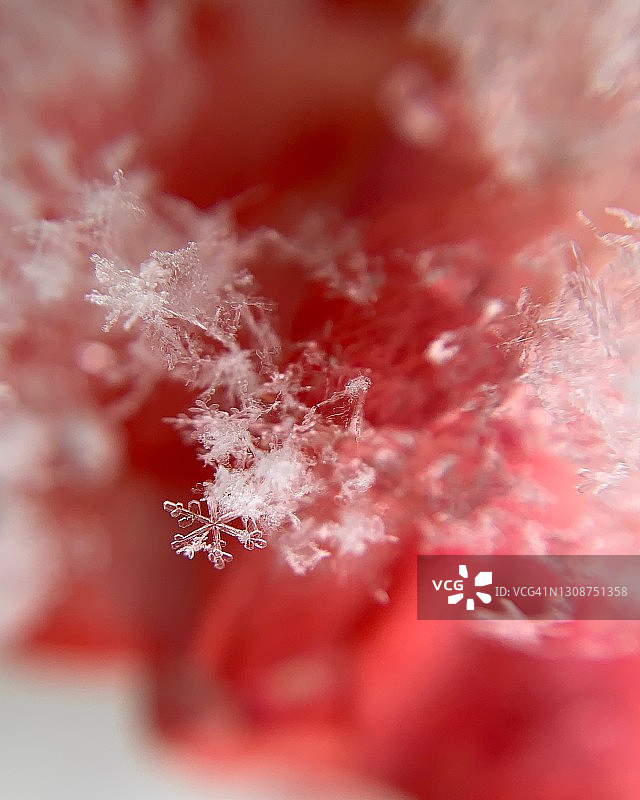 雪花微距图片素材