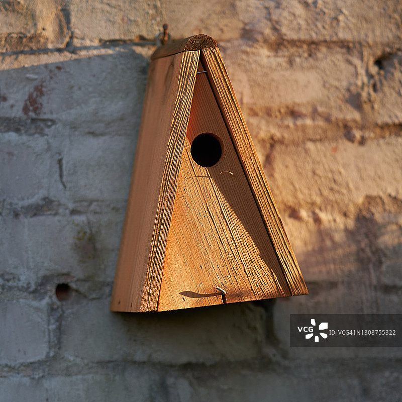 鸟巢箱图片素材