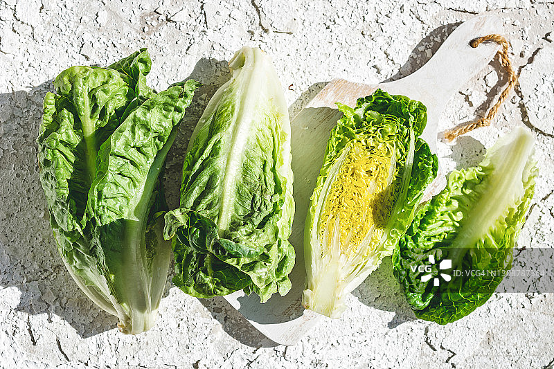 罗马生菜心图片素材