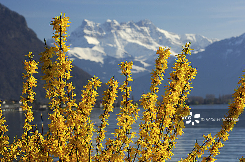 日内瓦湖畔的蒙特勒春色，瑞士沃州图片素材